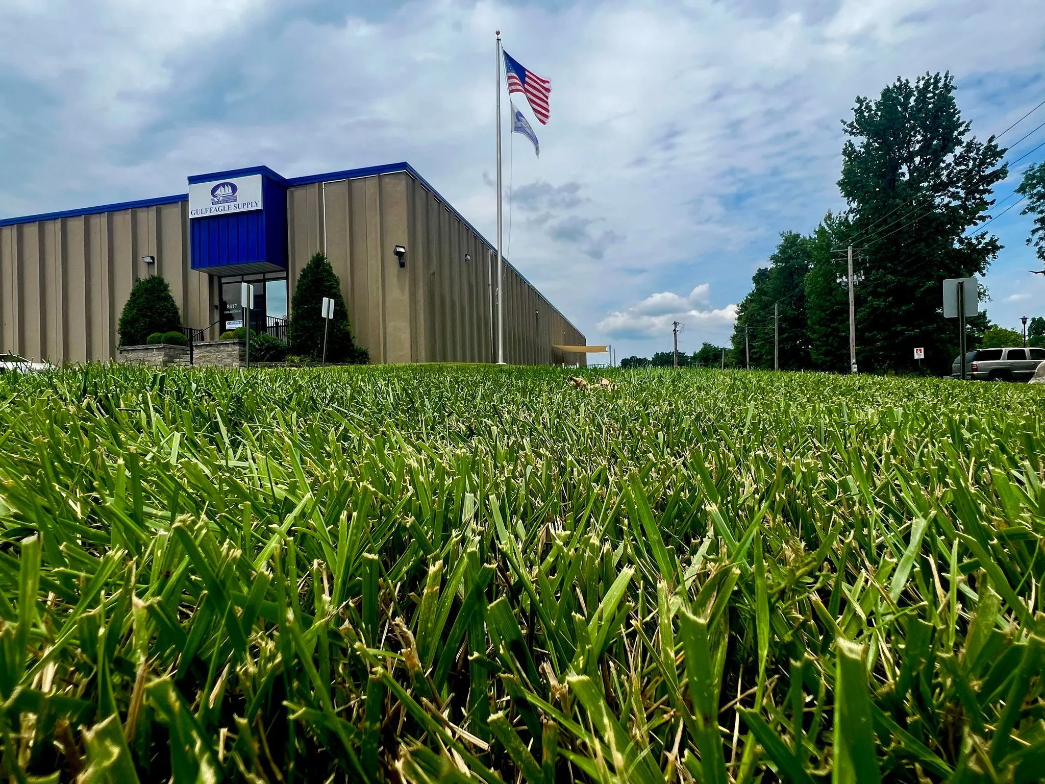 Residential lawn care detail