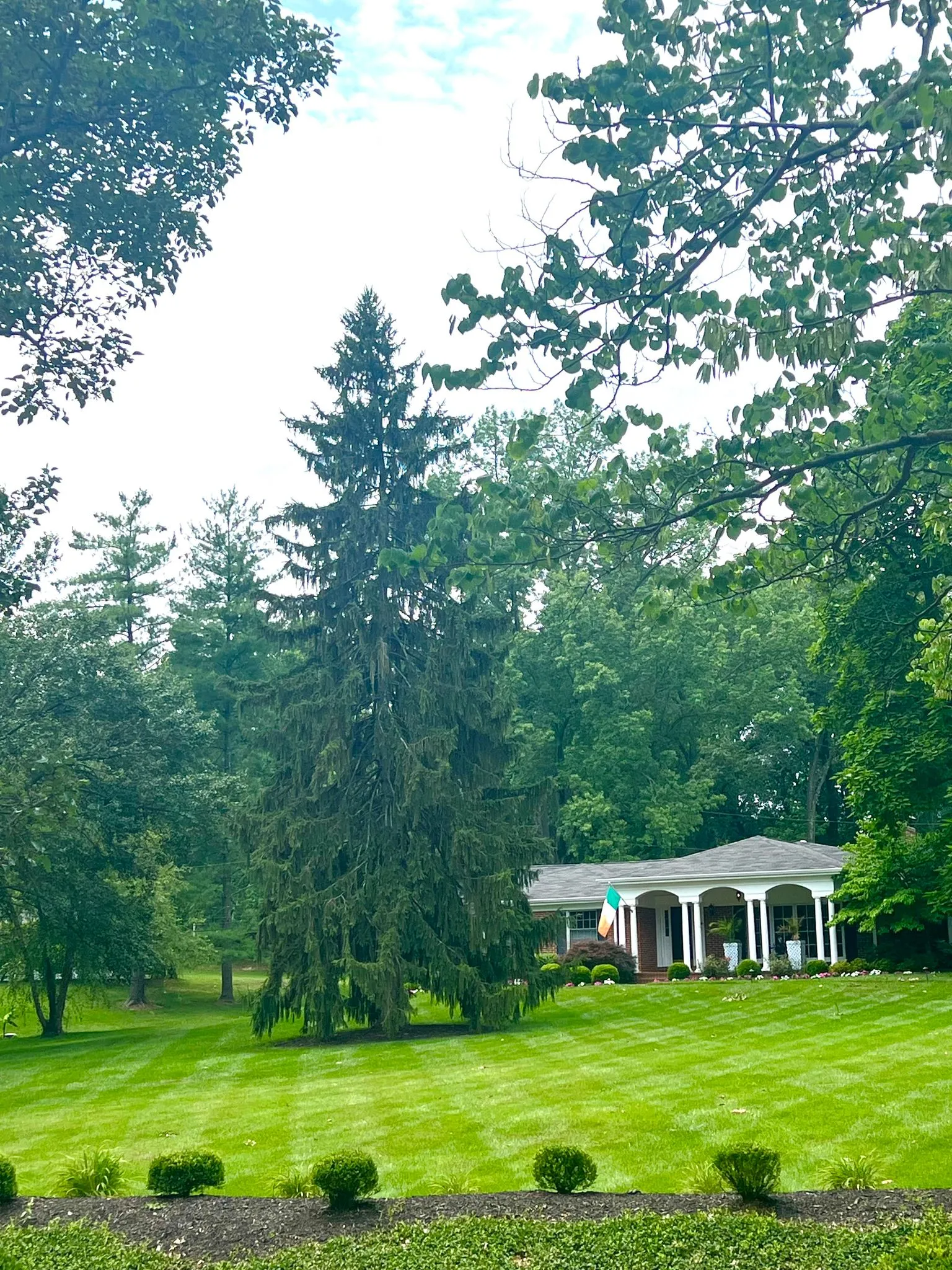 Landscape detail and lawn care work