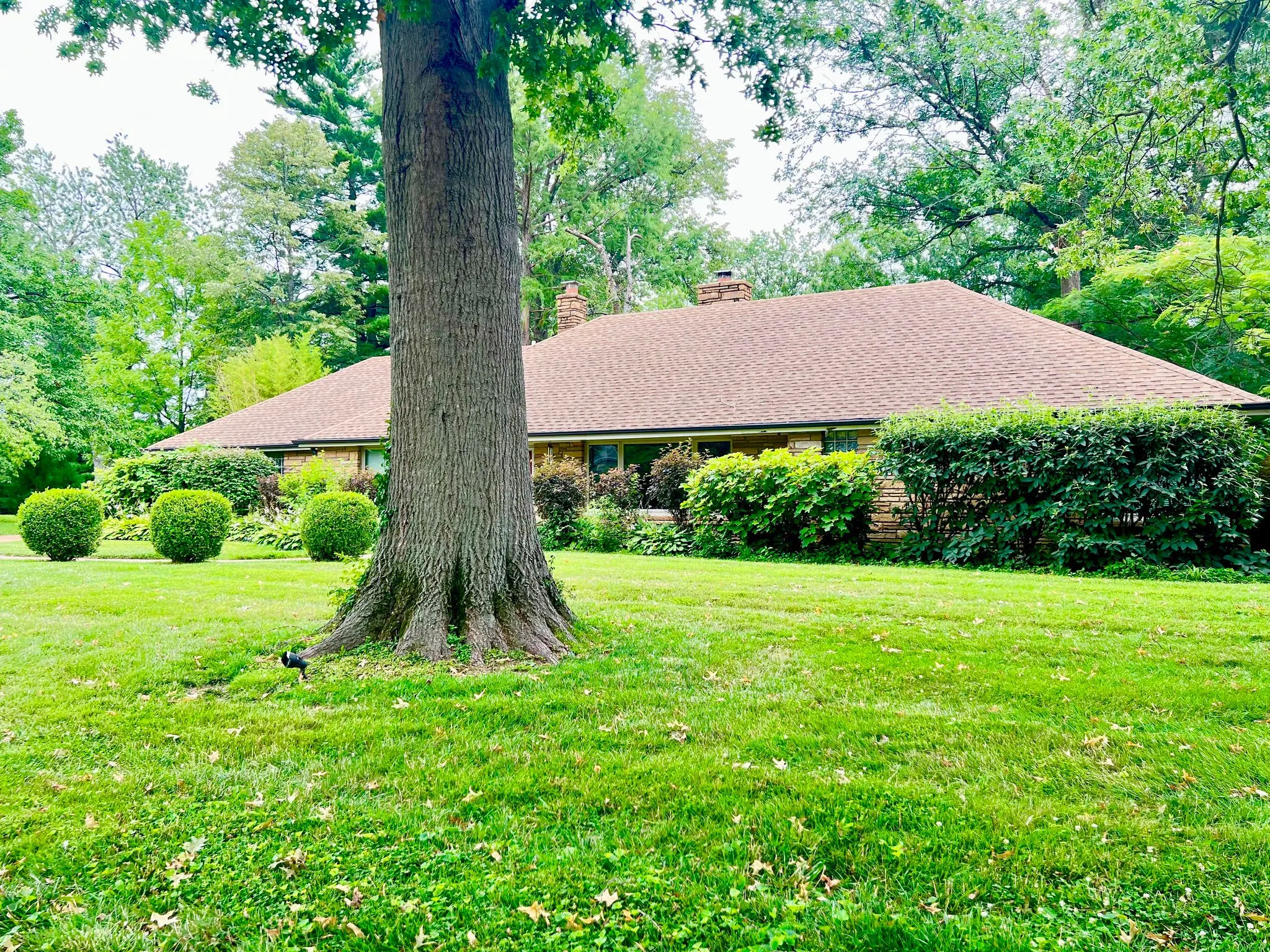 Cleaned and maintained residential lawn