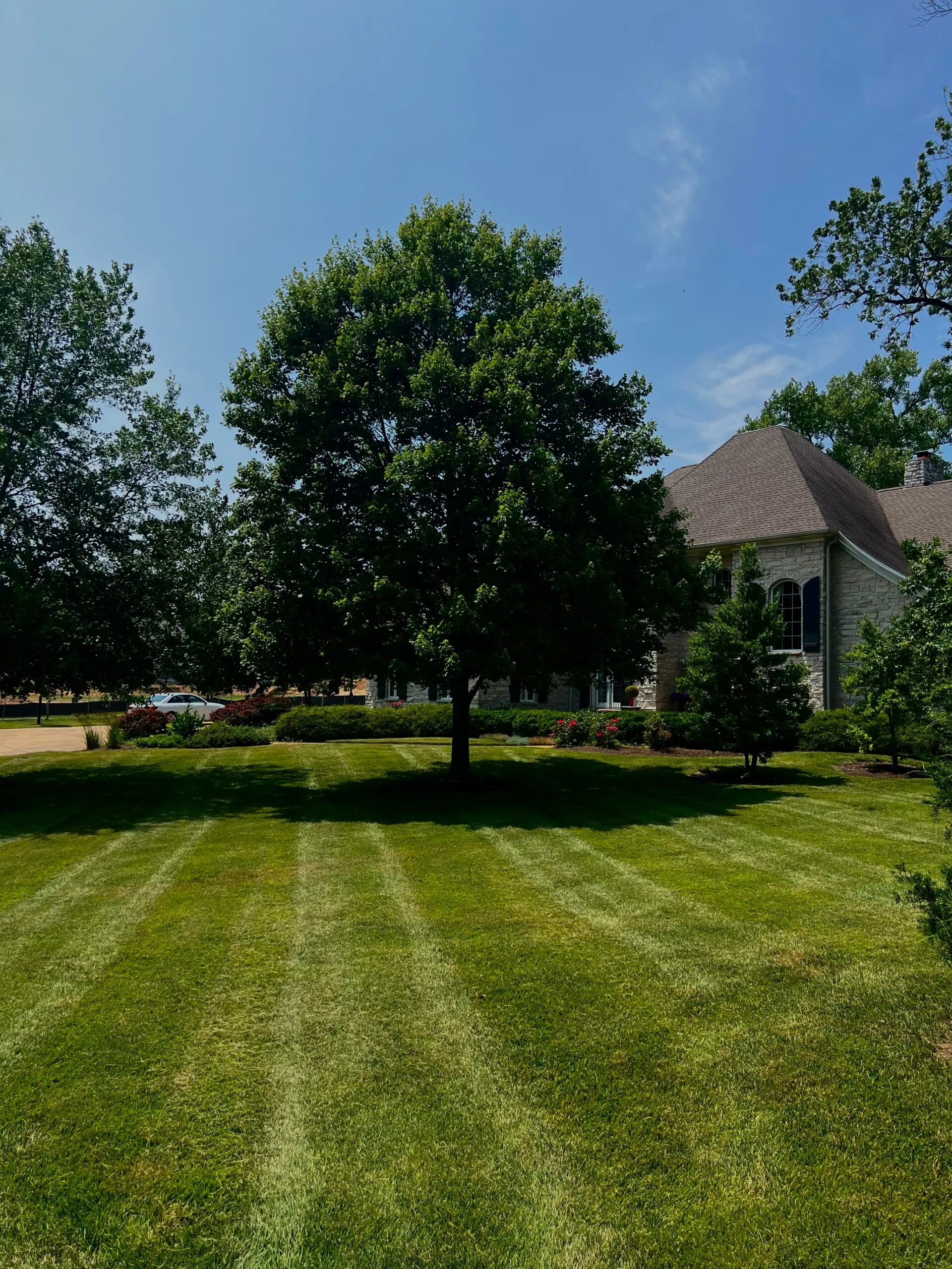 Tall portrait view of lawn care work