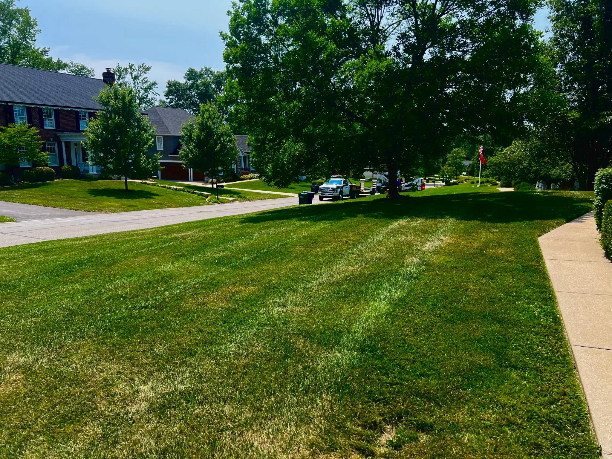 Fresh lawn service with trimmed edges