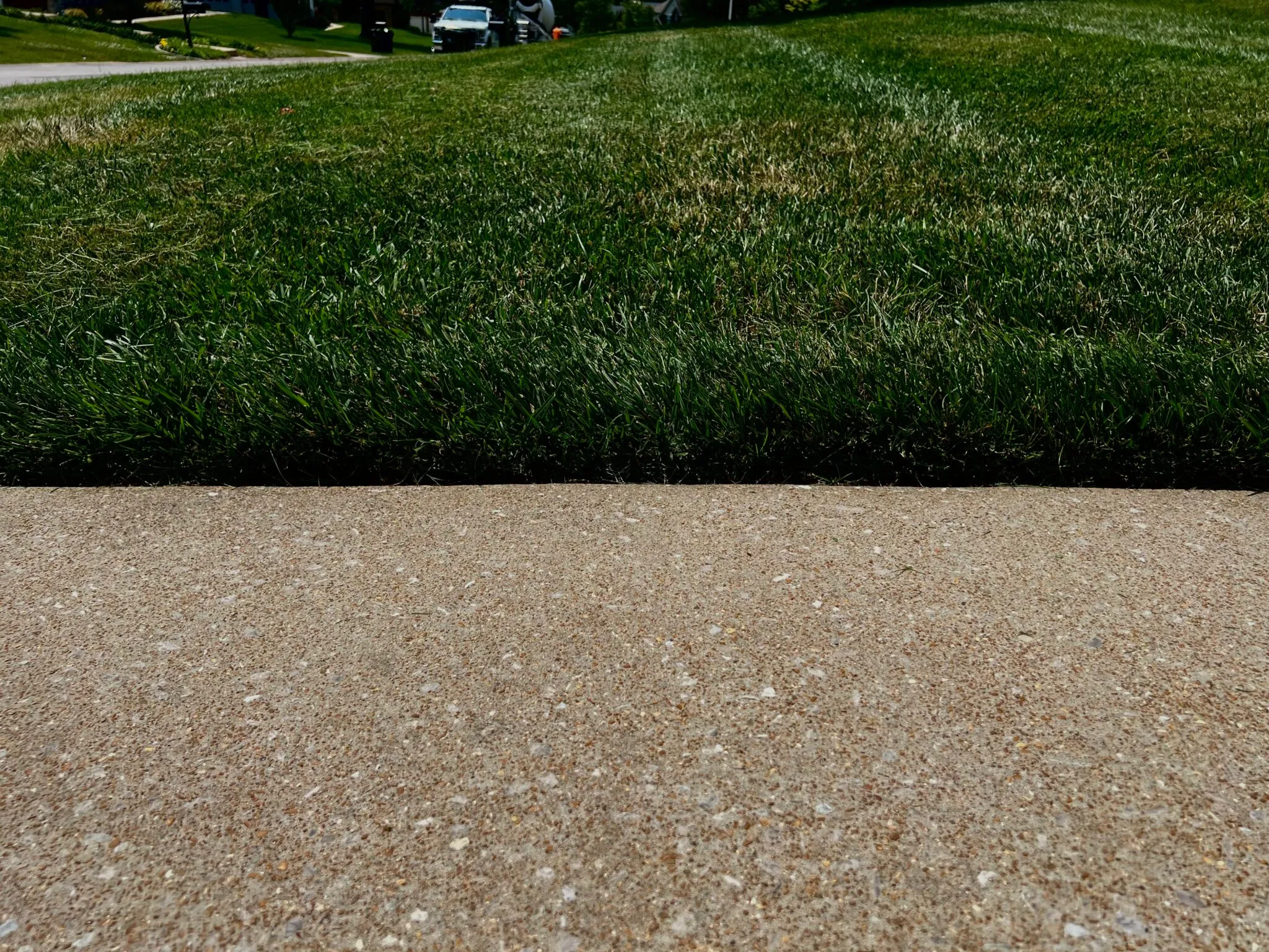 Finished turf with clean mowing lines