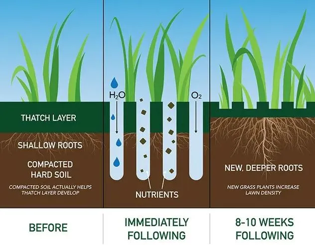 Why You Should Aerate, Seed, and Fertilize Your Lawn