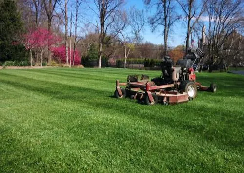 Lawn Mowing